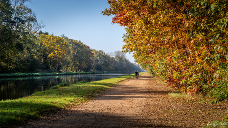 Herfst 