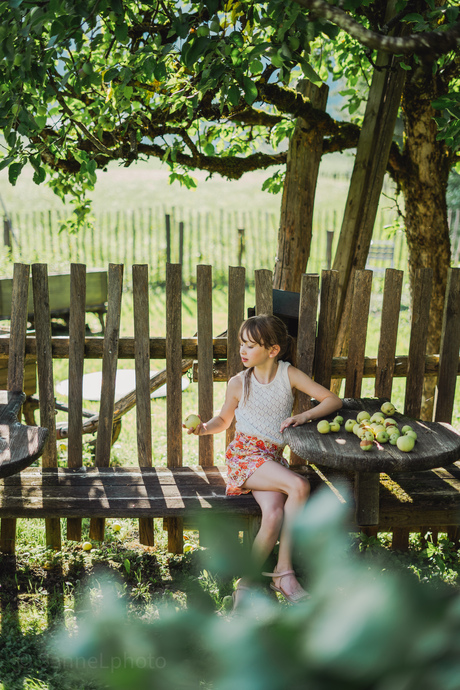 Bij de appelboom