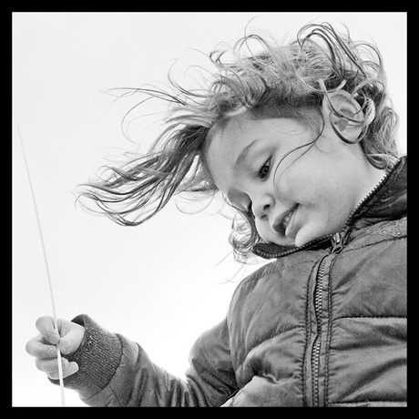 wind in de haren