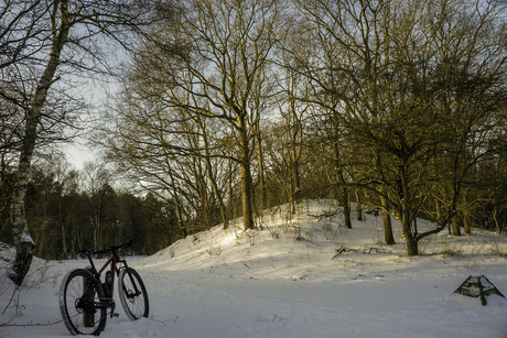 MTB door de duinen