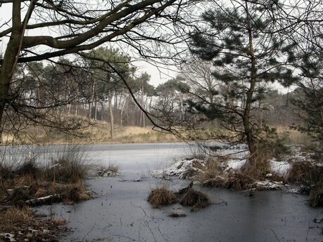 Winterlandschap in Brabant