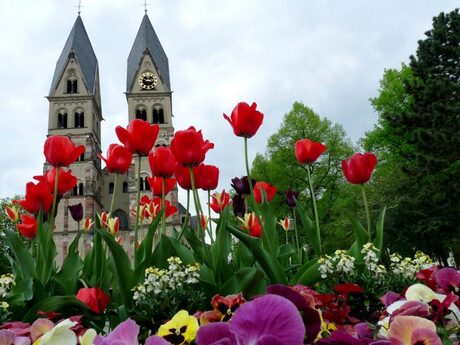 Lente in Koblenz