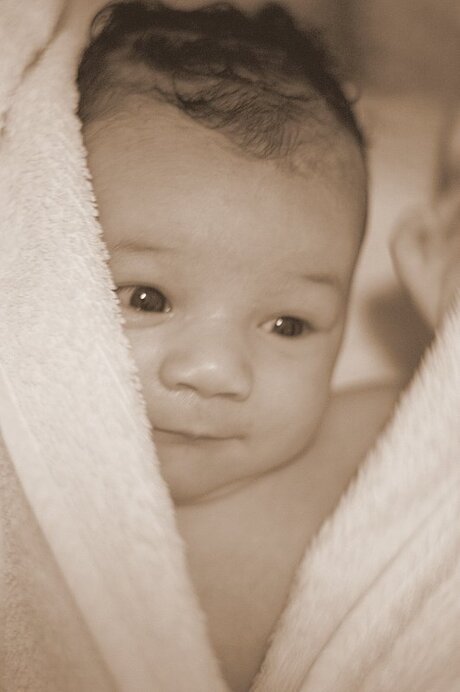 Phylicia Raquel Rosaly