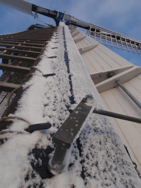 Molen De Koe-winter