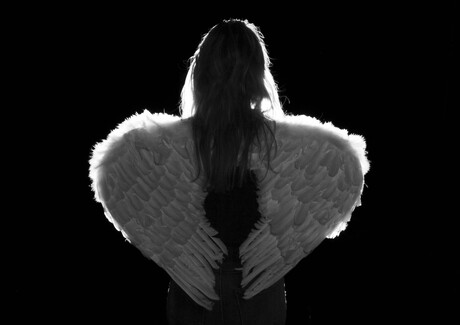 Engel voor één dag