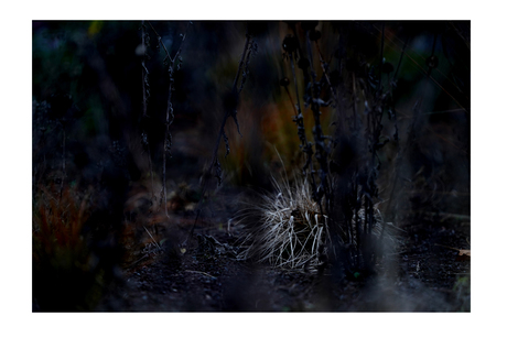 licht in de duisternis