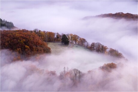 Nearby castle Bourscheid