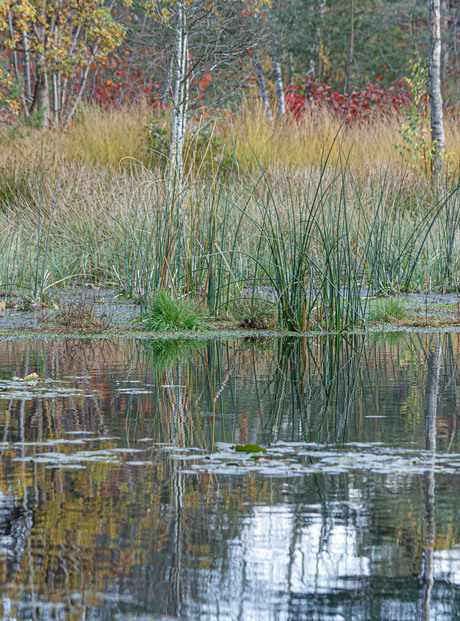 weerspiegeling stratumseheide