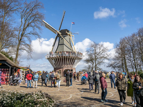 Keukenhof is los.