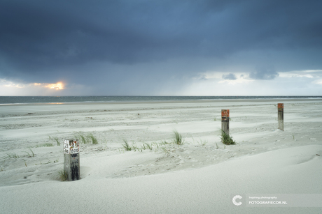 De ruige noordkust van Ameland