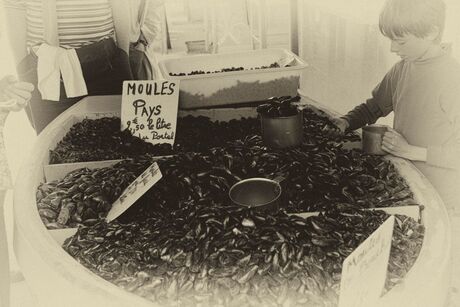 Moules for sale