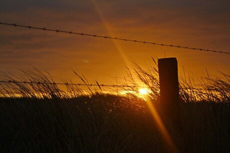 Zonsopkomst duinen Langevelderslag