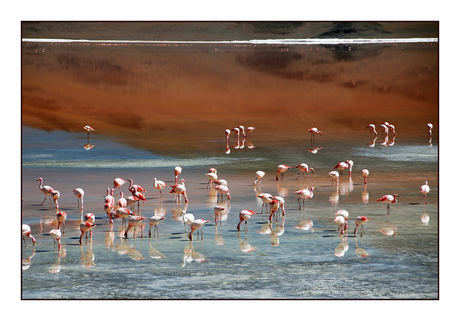 Laguna colorada