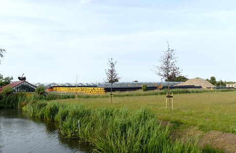 P1280547   Heenweg  L v Heilige Lambertus   Lokatie  AARDWARMTE Project   1 juni 2025  