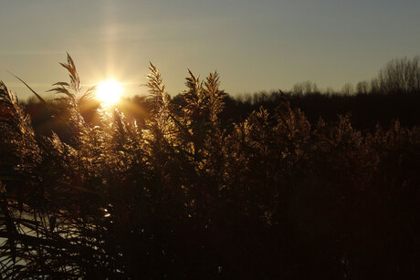 Ondergaande zon