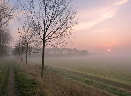 Sunrise in Drunen