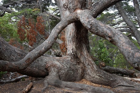 Tierra del Fuego