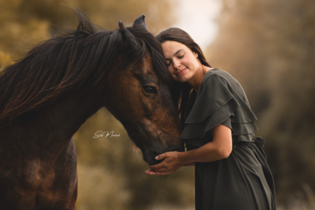 Connectie tussen eigenaar en paard