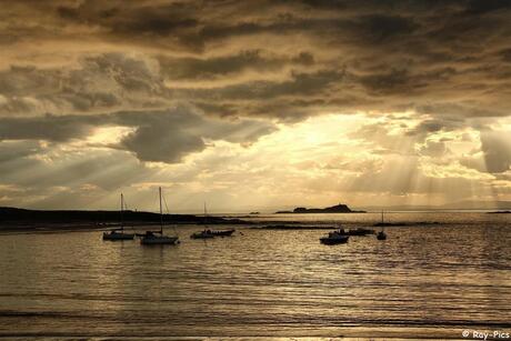 North Berwick Beach Gold