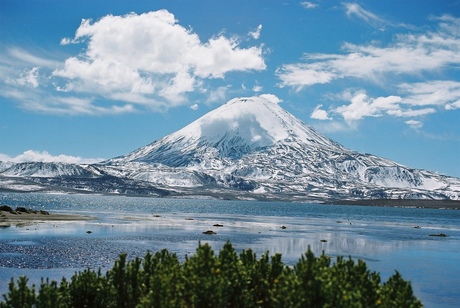 Chili - Parinacota