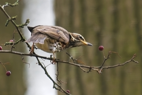 Lekker snackje