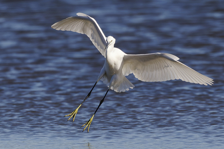 Landing