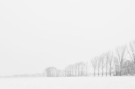 Minimalisme in een witte wereld.