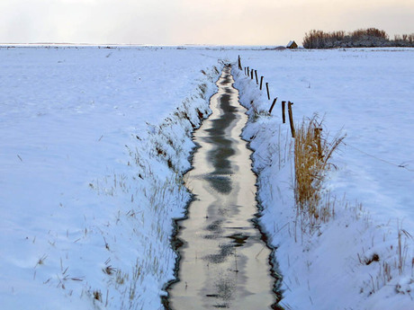 Terschelling in Winter