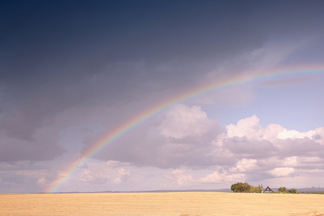 protecting rainbow