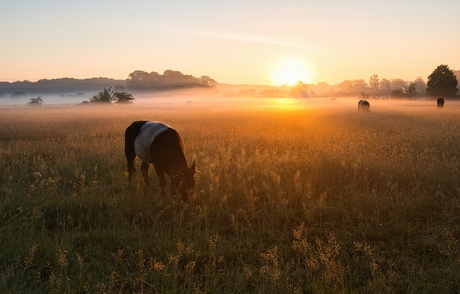 Morning has broken