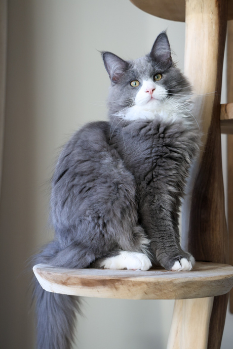 Testen R8 - Onbewerkt