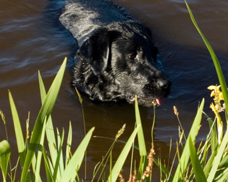 Zomer afkoeling uitgesneden