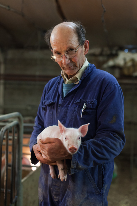 Farmer and Piglet