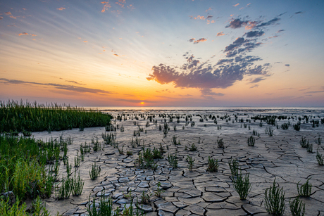 Zonsondergang Waddenzee