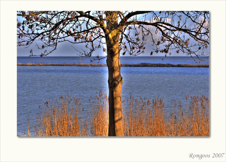 Uitzicht op het ijsselmeer