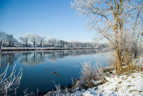 Maas-waal kanaal