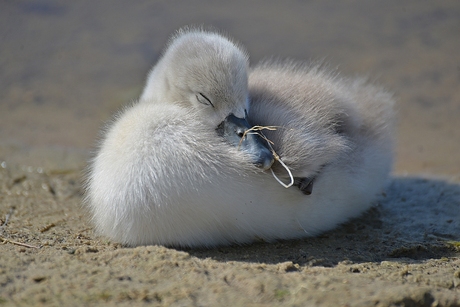 Welterusten en slaap lekker.