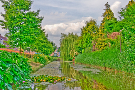 Kleurrijk slootje