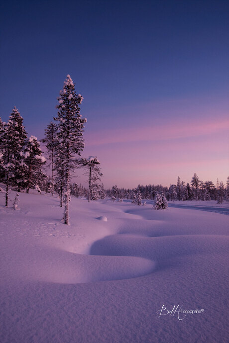 The Wonders of Frozen Lapland