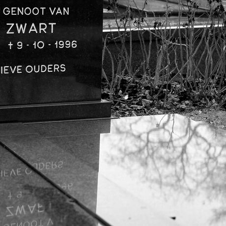 alles heeft een zwarte en witte kant