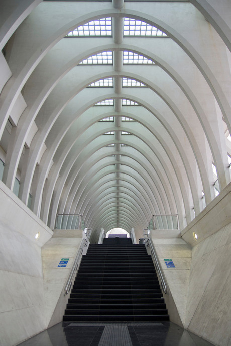 Calatrava station te Luik