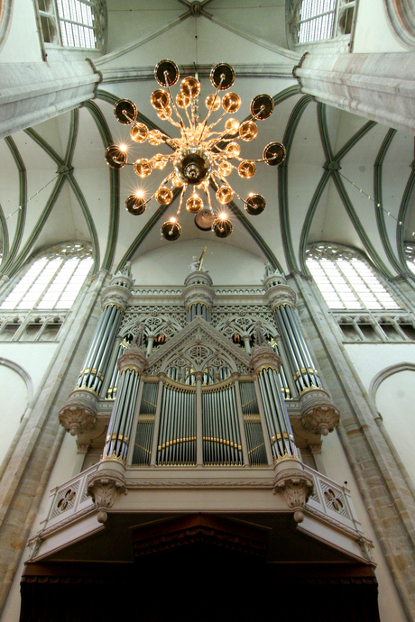 Domdalidom te Utrecht