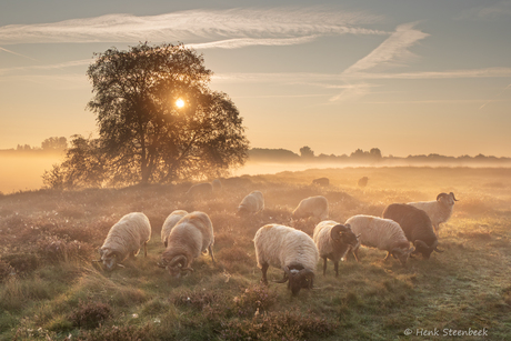 Sprookjesachtige ochtend in de Groeve