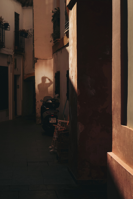 Shadow of the self