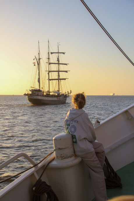 De heilzame werking van water