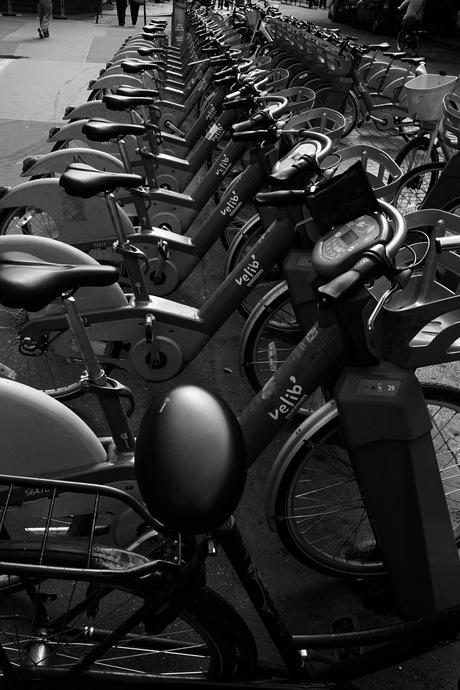 Vreemde eend in de bijt