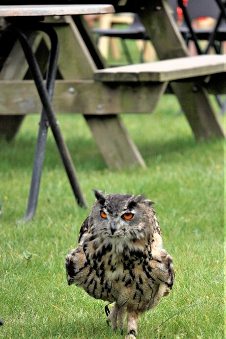 hey you what youre looking at