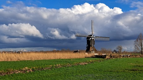 Hollands landschap nabij Hoornaar