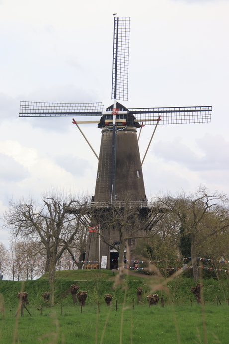 Molen De Prins van Oranje