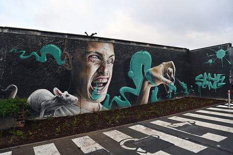 Pareltje van graffiti  van Street festival 2012 